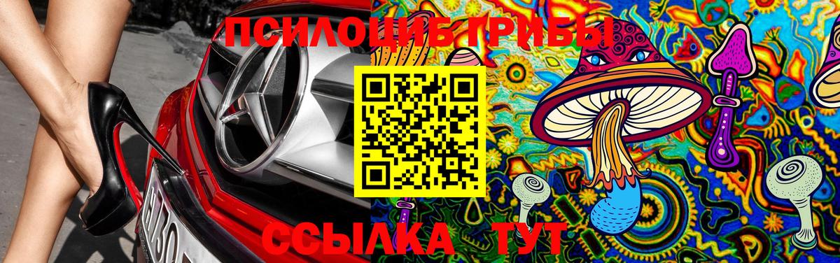 Каменск-Уральский  Псилоцибиновые грибы GOLDEN TEACHER  Псилоцибиновые грибы ЛСД  Вход с VPN 
